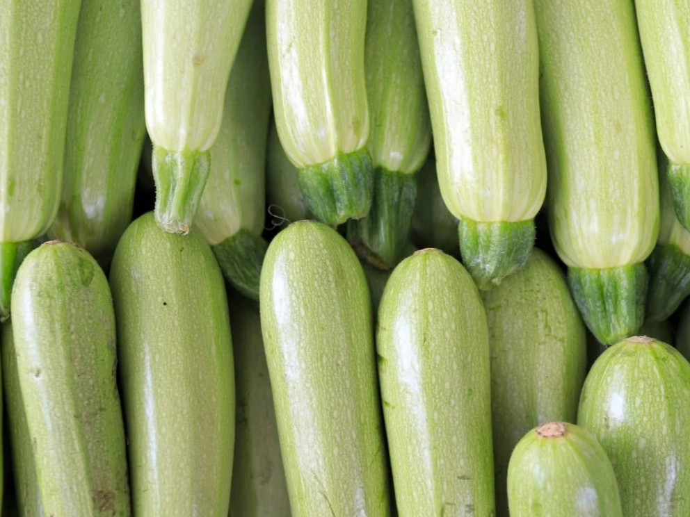 ZUCCHINI