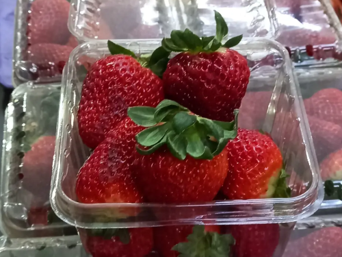 FRUTILLA