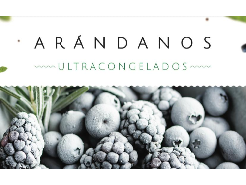 ARANDANOS IQF X 2 KG