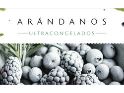 ARANDANOS IQF X 2 KG
