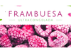 FRAMBUESA IQF X 2 KG