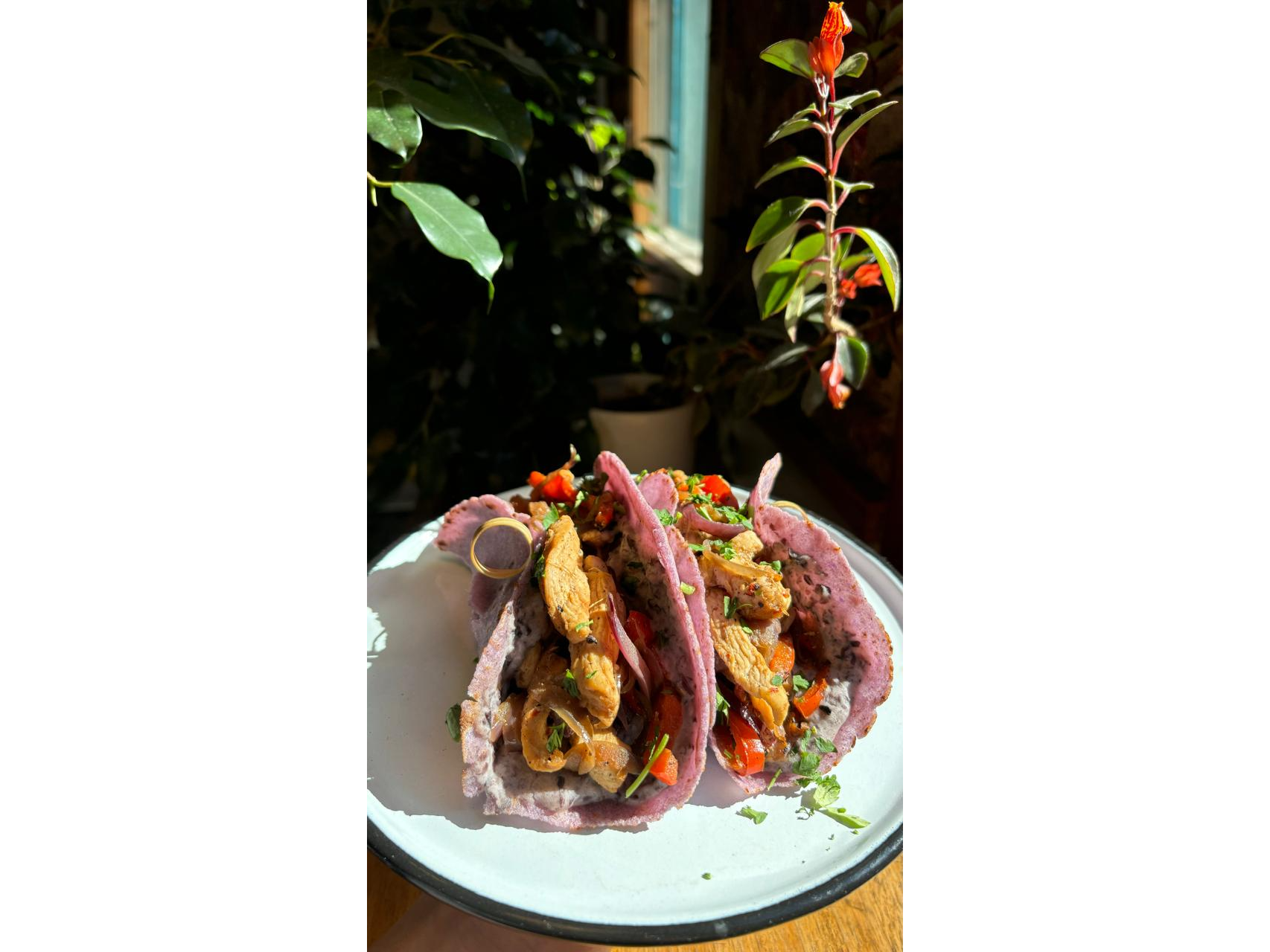 TACOS DE BONDIOLITA DE CERDO BRASEADA Y VEGETALES