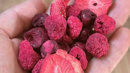 FRUTA LIOFILIZADA