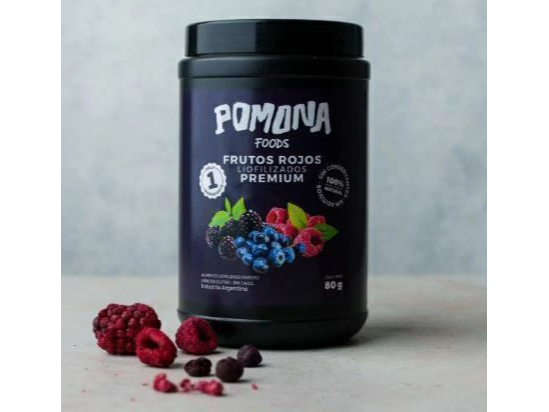 FRUTOS ROJOS 80 GRS