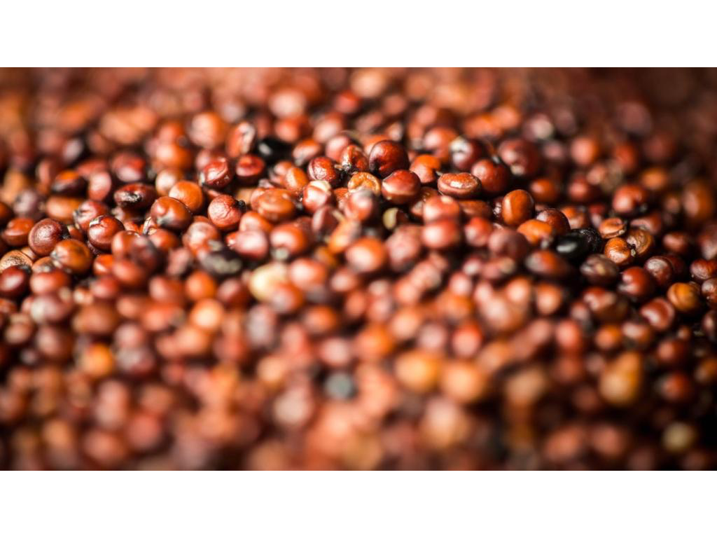 QUINOA ROJA