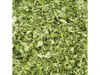 MORINGA X 1 KG