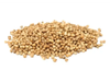 COREANDRO EN GRANO