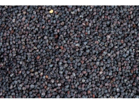 AMAPOLA SEMILLA X 1 KG
