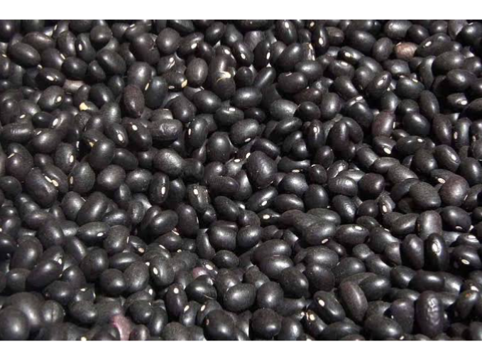 POROTO NEGRO X 1 KG