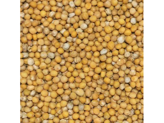 MOSTAZA EN GRANO X 1 KG