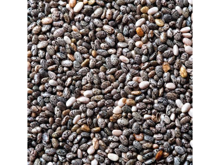 CHIA X 1 KG