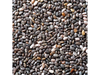 CHIA X 1 KG