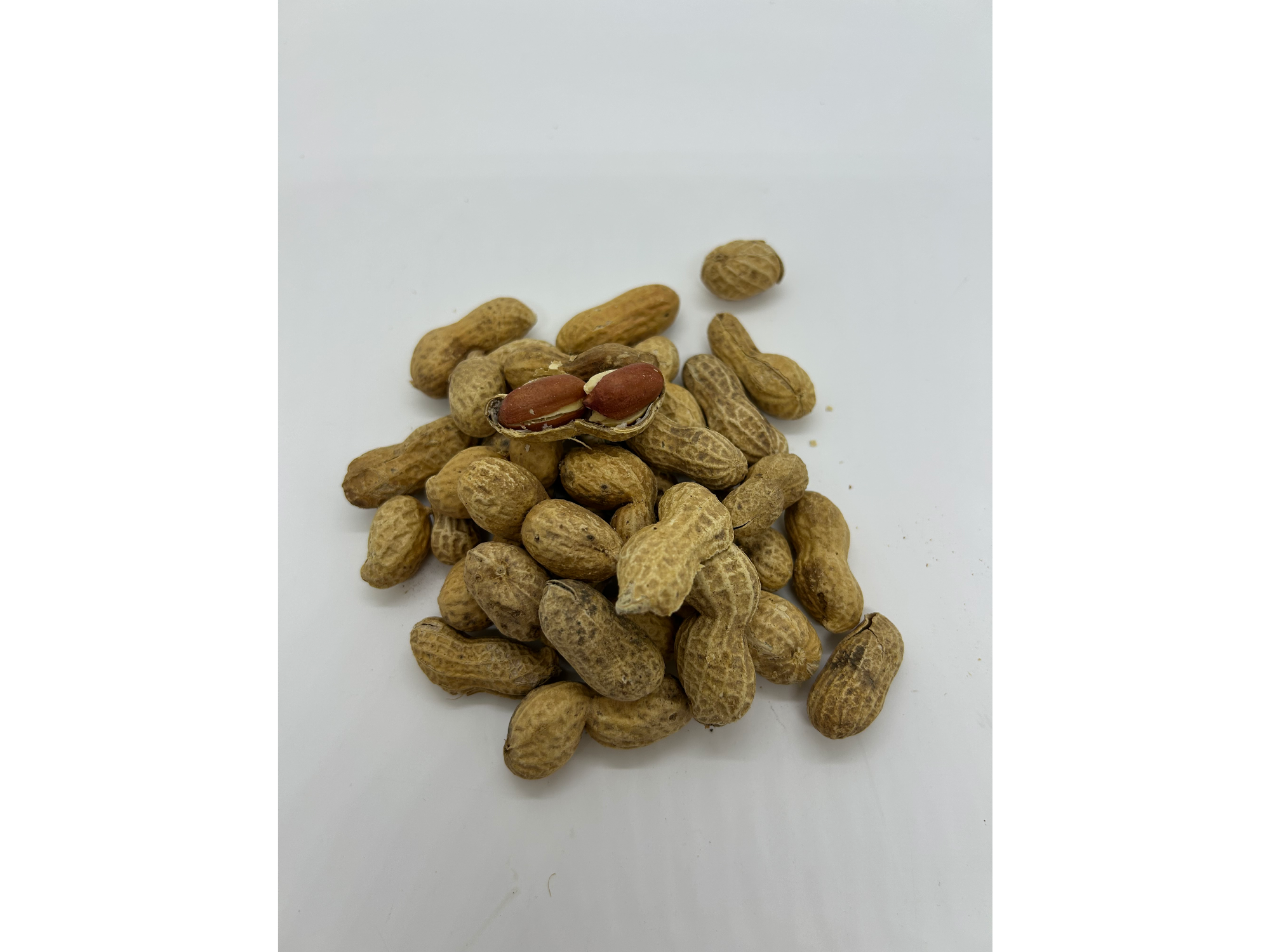 MANI CON CASCARA X 1 KG