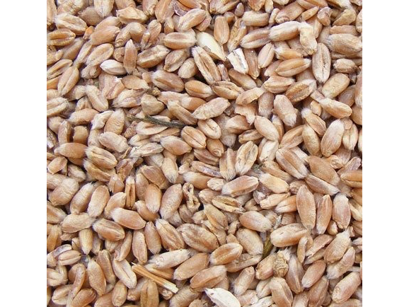 TRIGO PELADO X 1 KG