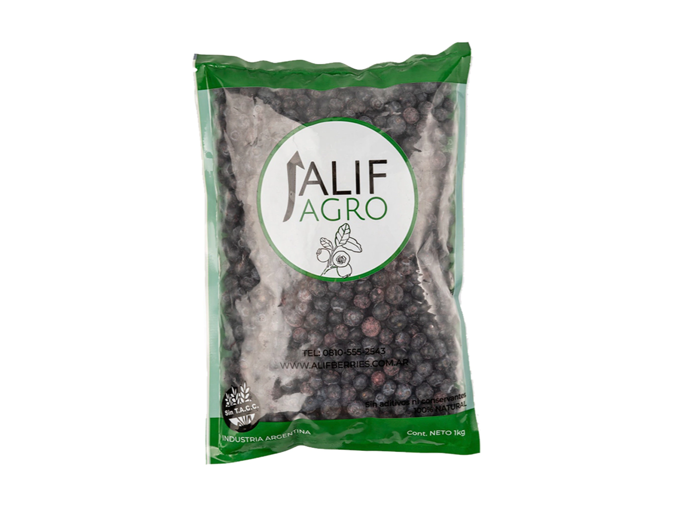 CONGELADO ARANDANOS X 1 KG