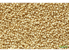 AMARANTO SEMILLA X 1 KG