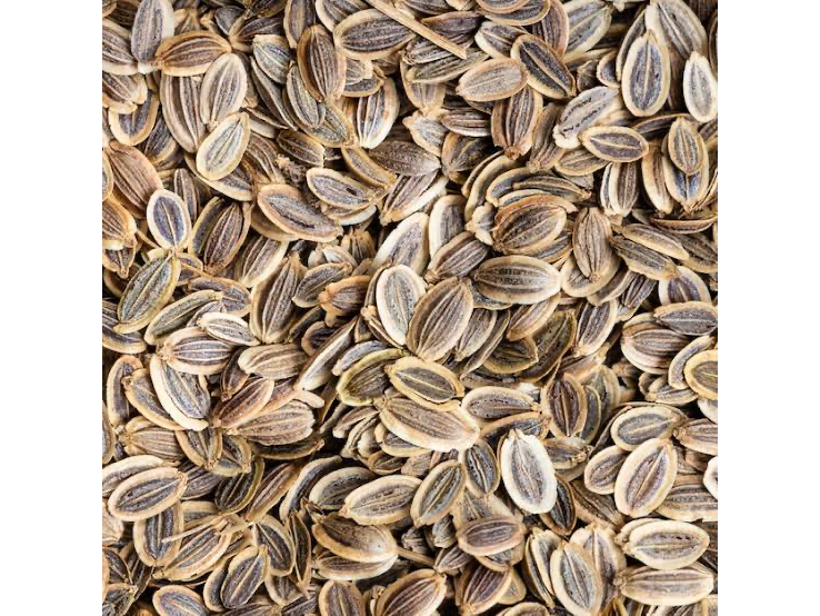 ENELDO SEMILLAS X 1 KG