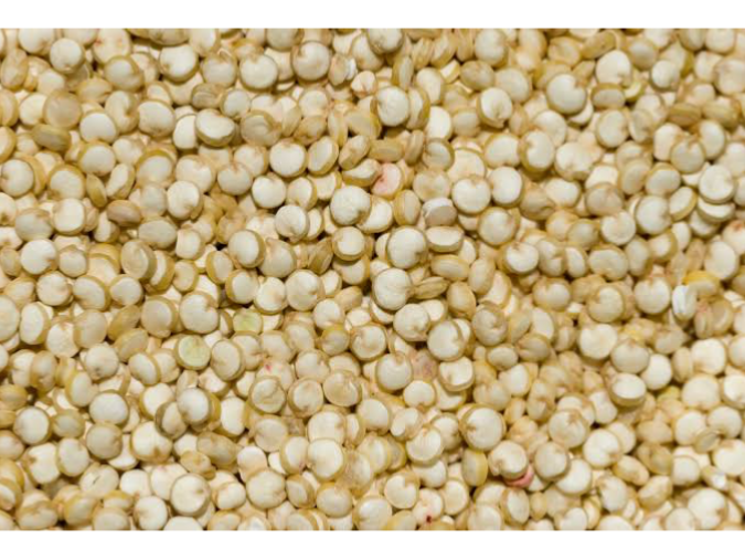 QUINOA REAL