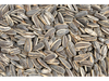 GIRASOL C/ CASCARA X 1 KG