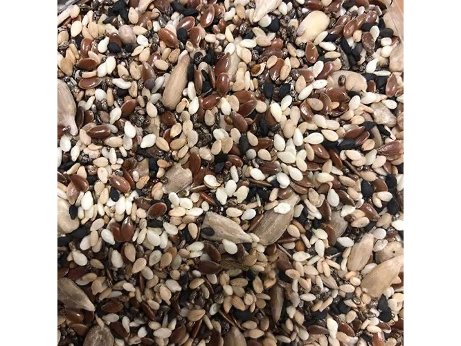 MIX SEMILLAS X 1 KG
