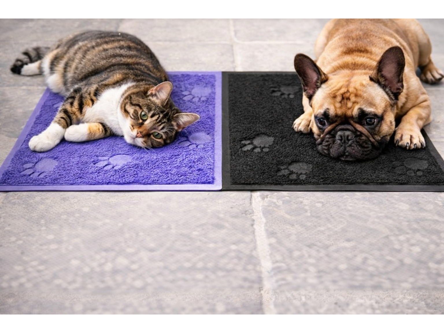 Alfombra para mascotas