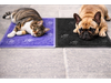 Alfombra para mascotas