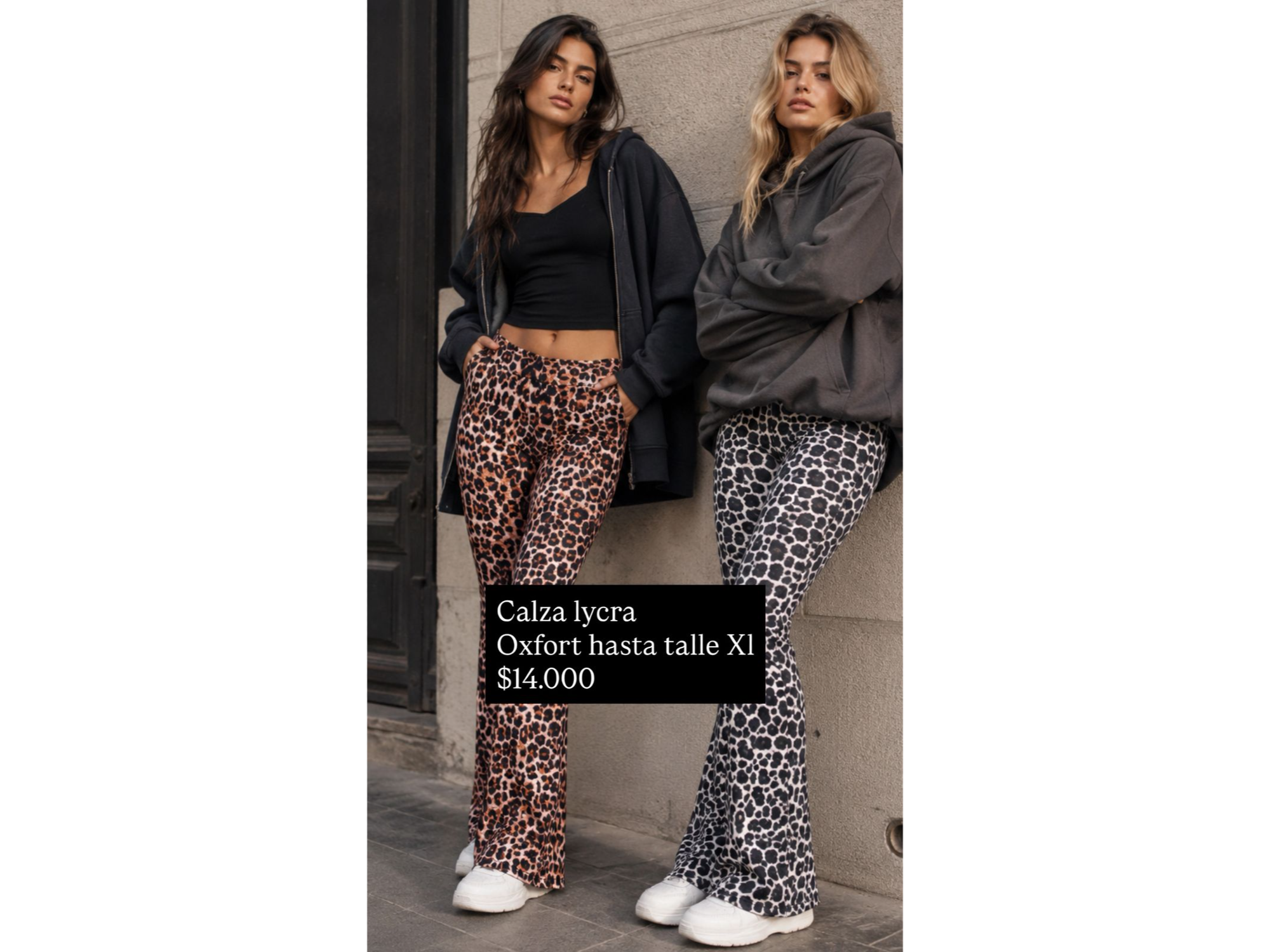 calza lycra oxford