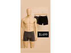 Boxer basic