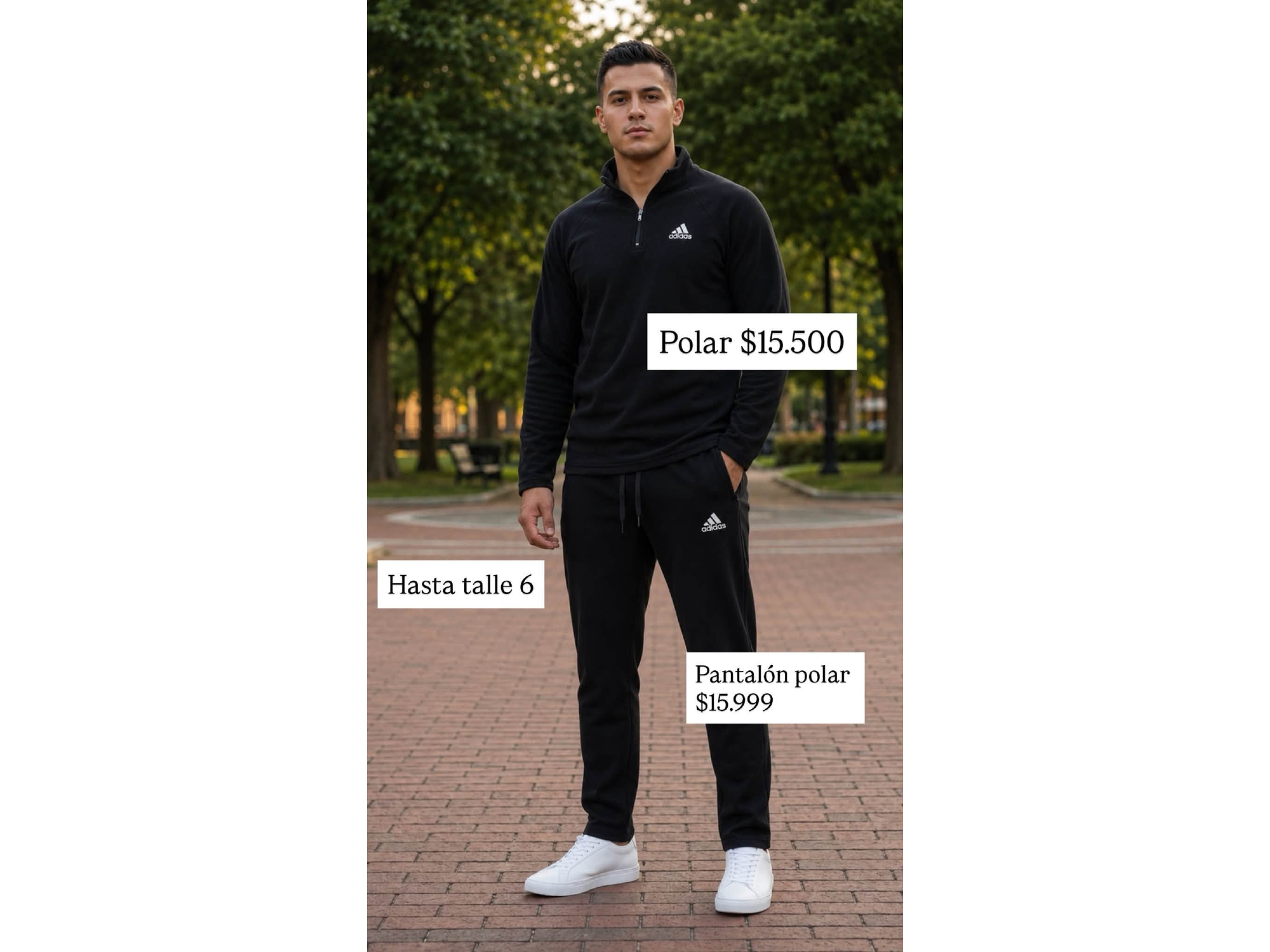 conjunto de polar