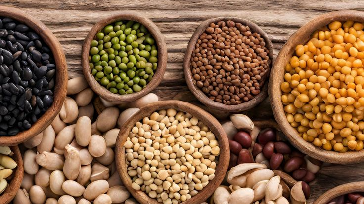 Cereales y Legumbres