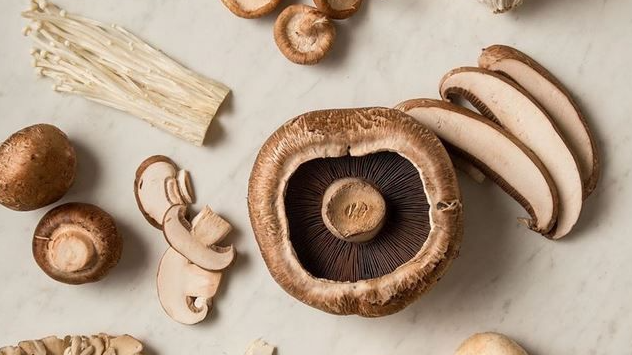 Hongos Frescos y Secos