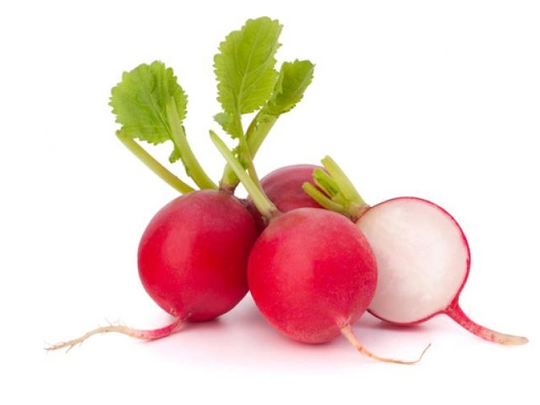 Rabanitos agroecologicos por atado