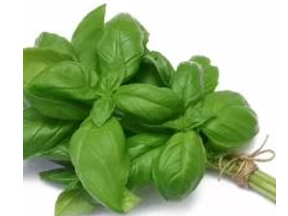 ALBAHACA ORGANICA | ATADO