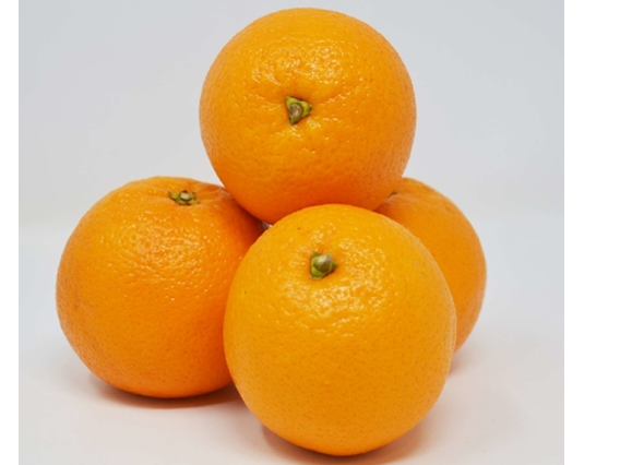 NARANJA SALUSTIANA ORG