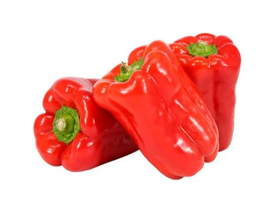 Morrón Rojo organico