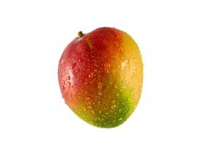 MANGO KENT ORG UNIDAD