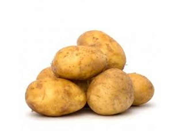 Papa blanca organica