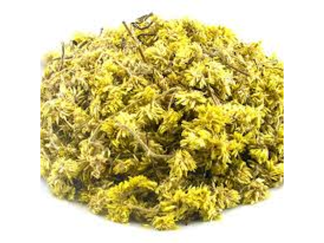 Marcela Los Hornillos