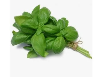 Albahaca organica x atado