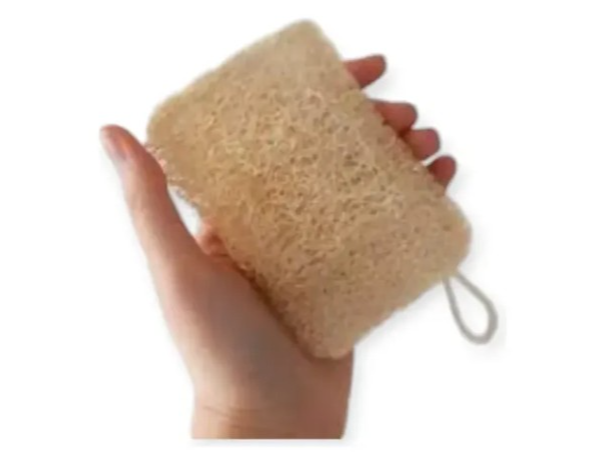 Esponja de Cocina Natural LUFFA I UNIDAD - Chiquita