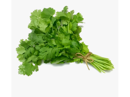 Cilantro organico por atado