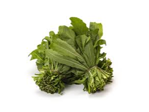 Radicheta organica por atado