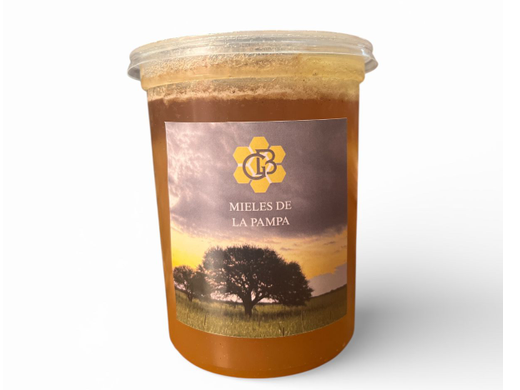 Miel de monte pura "Mieles de Pampa" I PESO 500gr