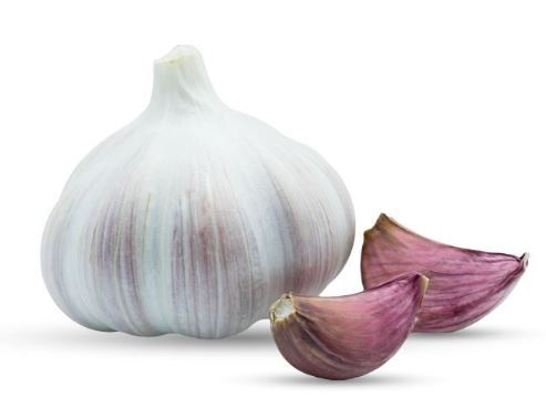 Ajo Morado Org UNIDAD