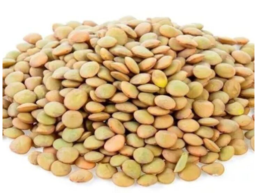 Lentejas I PESO 500grs