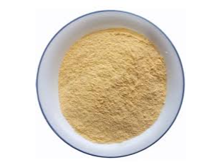 Semita de Maiz Agroecologica