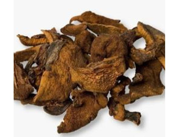 Hongos de Pino I PESO 50 grs