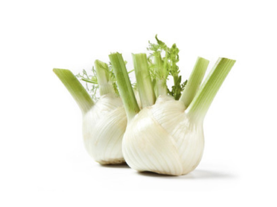 HINOJO AGRO | UNIDAD CON HOJAS