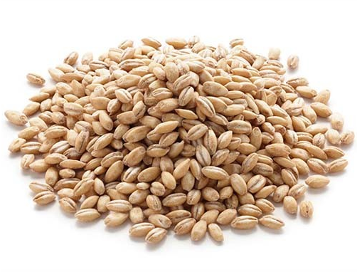 Cebada Perlada | 500GRS