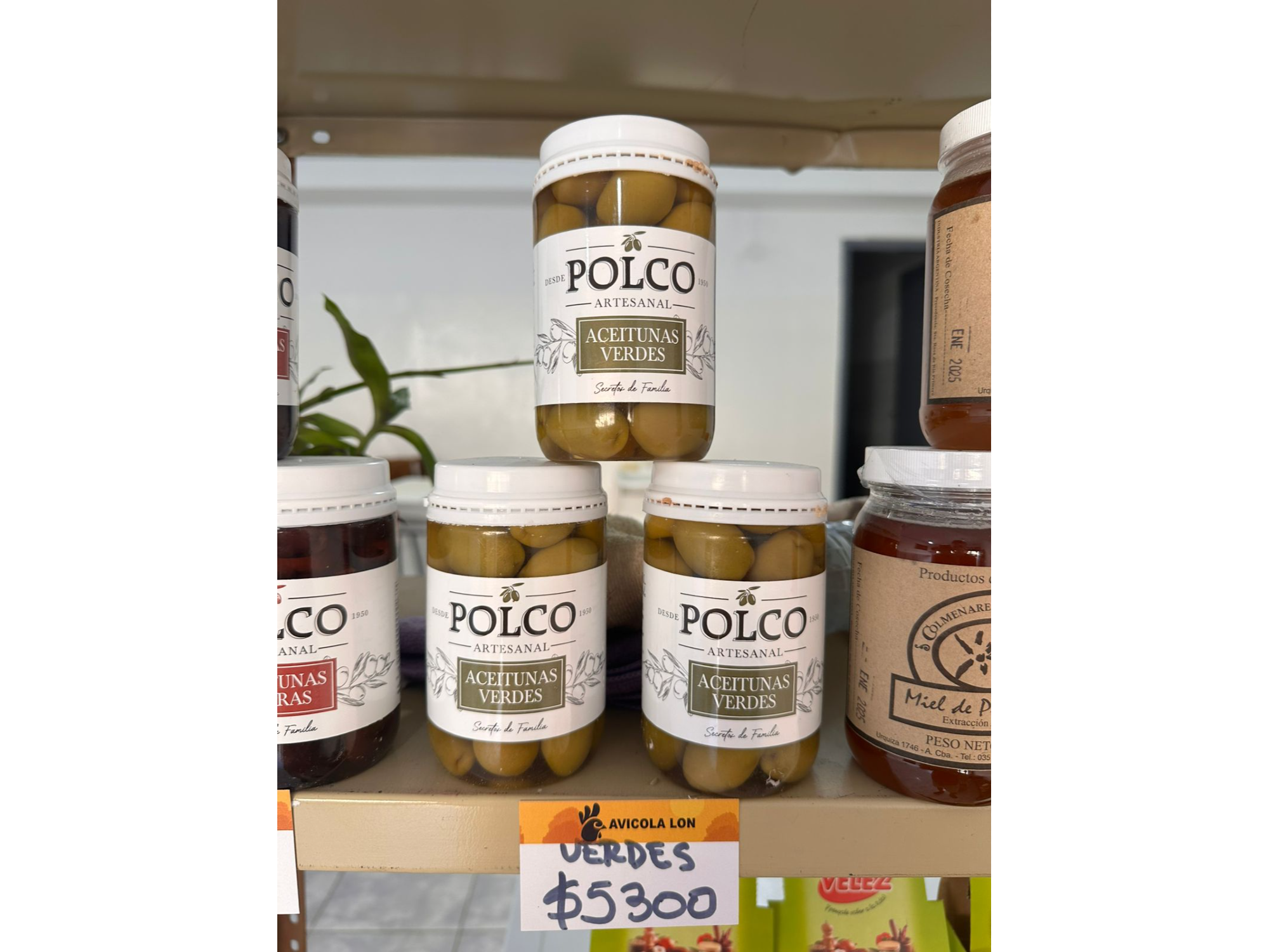 POTE ACEITUNAS VERDES POLCO